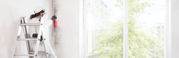 Best Post-Construction Mold Inspection  in Cowarts, AL